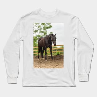 the mighty Samurai Long Sleeve T-Shirt